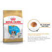 Royal Canin King Charles Yavru Köpek Maması 1.5 Kg - Görsel 2