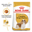 Royal Canin King Charles Kuru Köpek Maması 3 Kg - Görsel 2