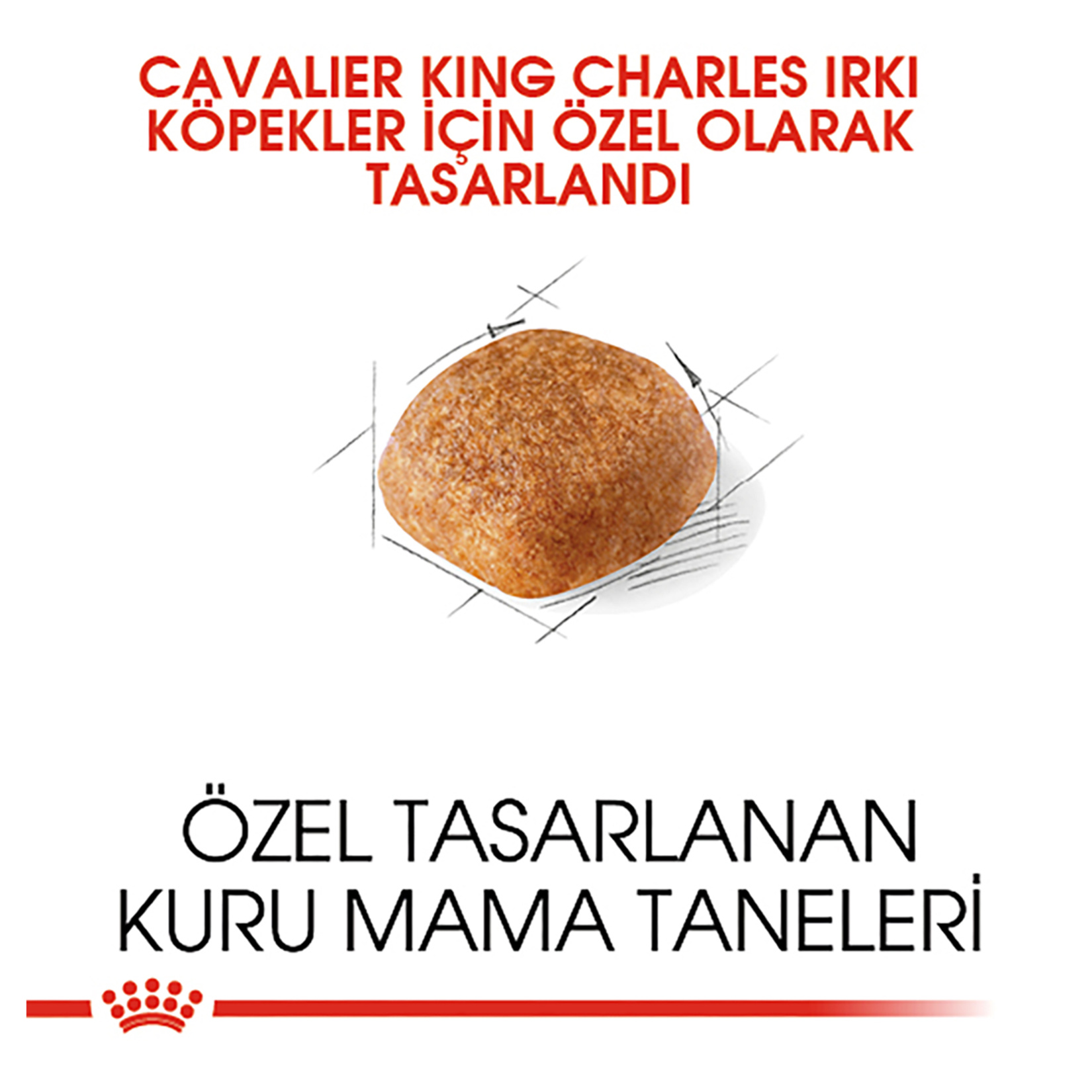 Royal Canin King Charles Kuru Köpek Maması 3 Kg - Görsel 3