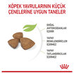 Royal Canin Küçük Irk Yavru Köpek Maması 1.5 Kg - Görsel 3