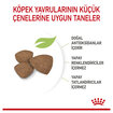 Royal Canin Küçük Irk Yavru Kuru Köpek Maması 4 Kg - Görsel 3