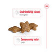 Royal Canin Irklar İçin Kuru Köpek Maması 2 Kg - Görsel 2