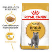 Royal Canin British Shorthair İçin Kedi Mama 400 G - Görsel 2
