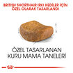 Royal Canin British Shorthair İçin Kedi Mama 400 G - Görsel 3