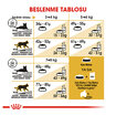 Royal Canin British Shorthair İçin Kedi Mama 400 G - Görsel 5