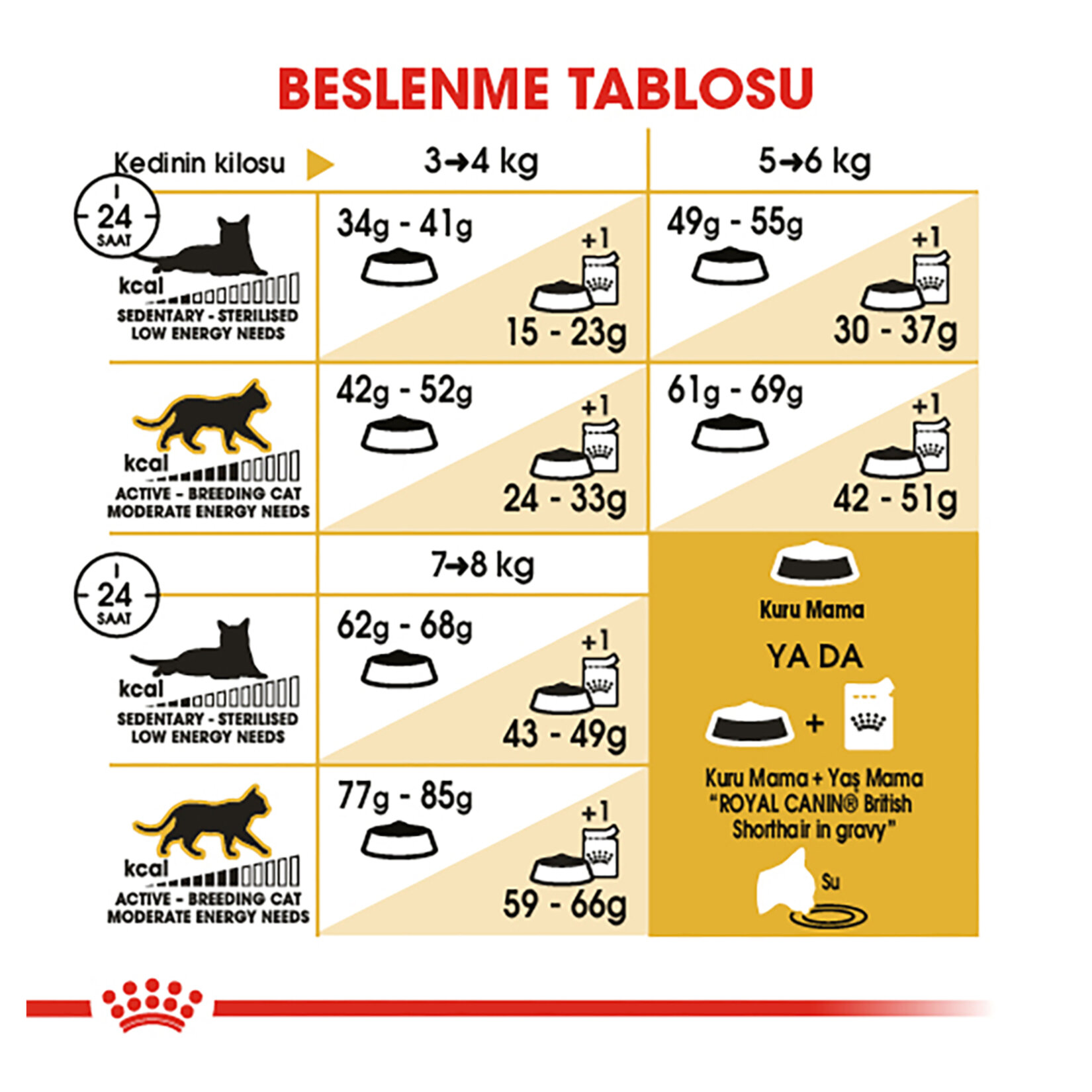 Royal Canin British Shorthair İçin Kedi Mama 400 G - Görsel 5