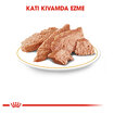 Royal Canin İran Kedisi Yaş Kedi Maması 12 x 85 G - Görsel 3