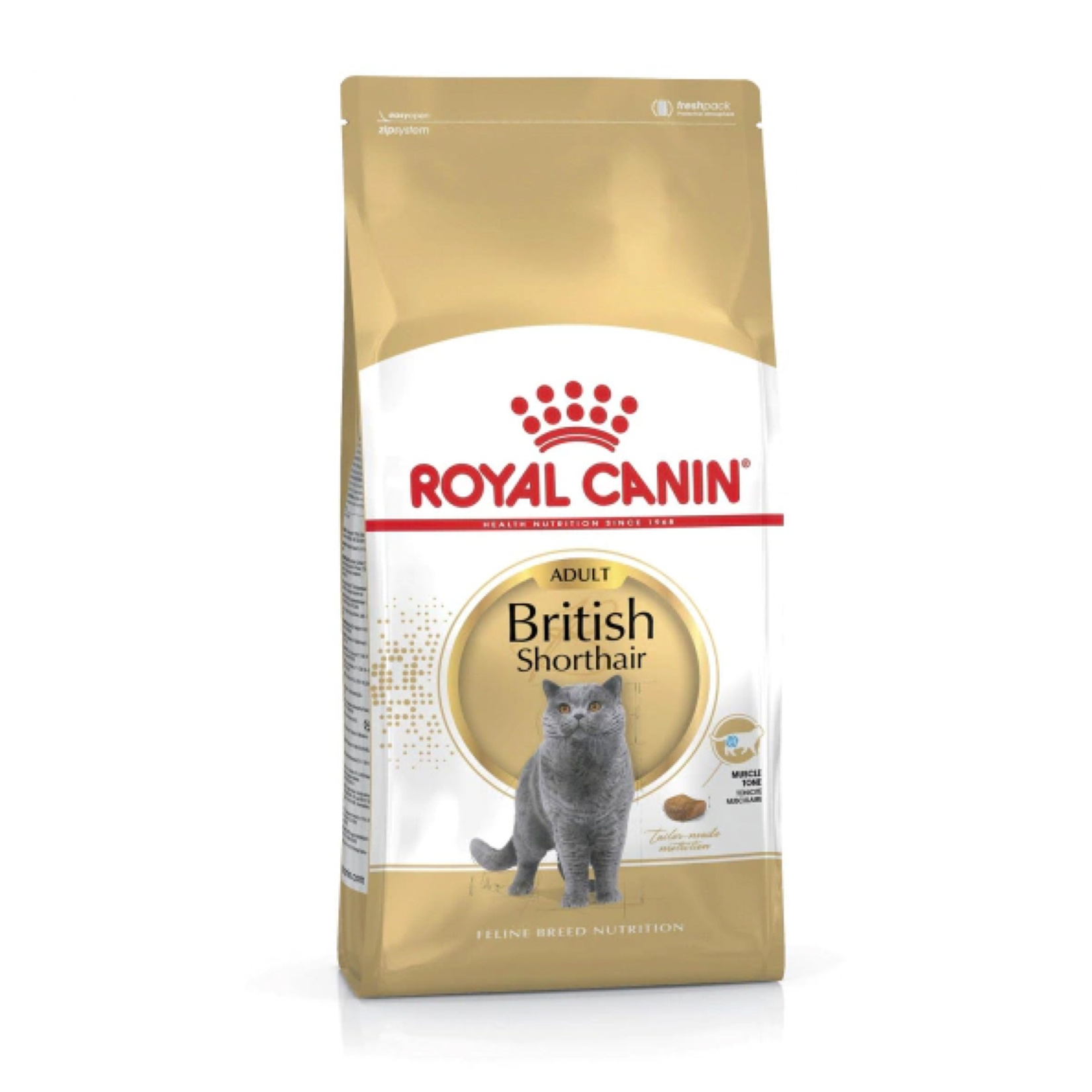 Royal Canin British Shorthair Kuru Kedi Maması 2 Kg - Görsel 1