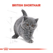 Royal Canin British Shorthair Yavru Kedi Mama 2 Kg - Görsel 2