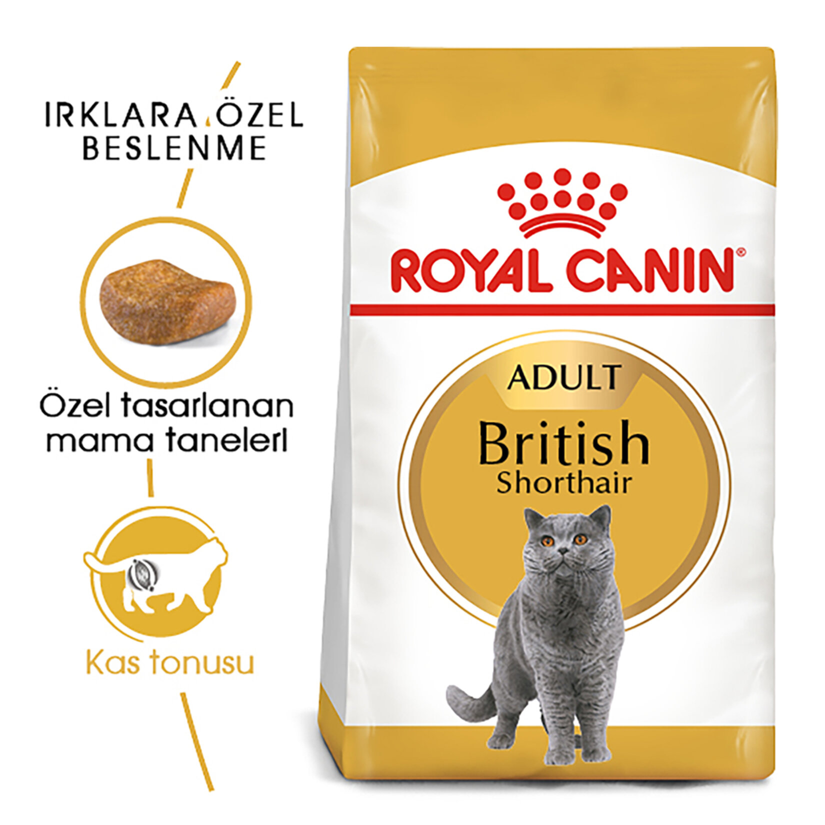 Royal Canin British Shorthair Yavru Kedi Mama 2 Kg - Görsel 2