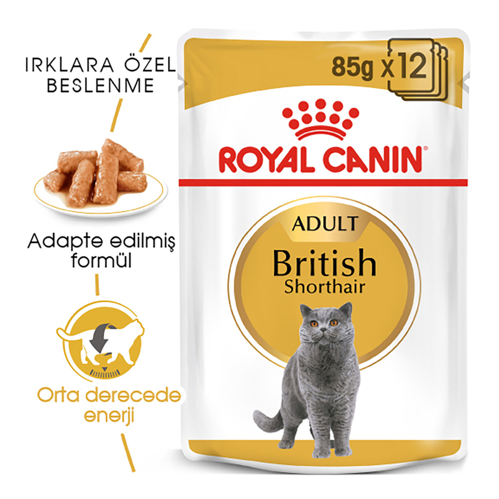 Royal Canin British Shorthair Yaş Kedi Maması 12 x 85 G - Görsel 2