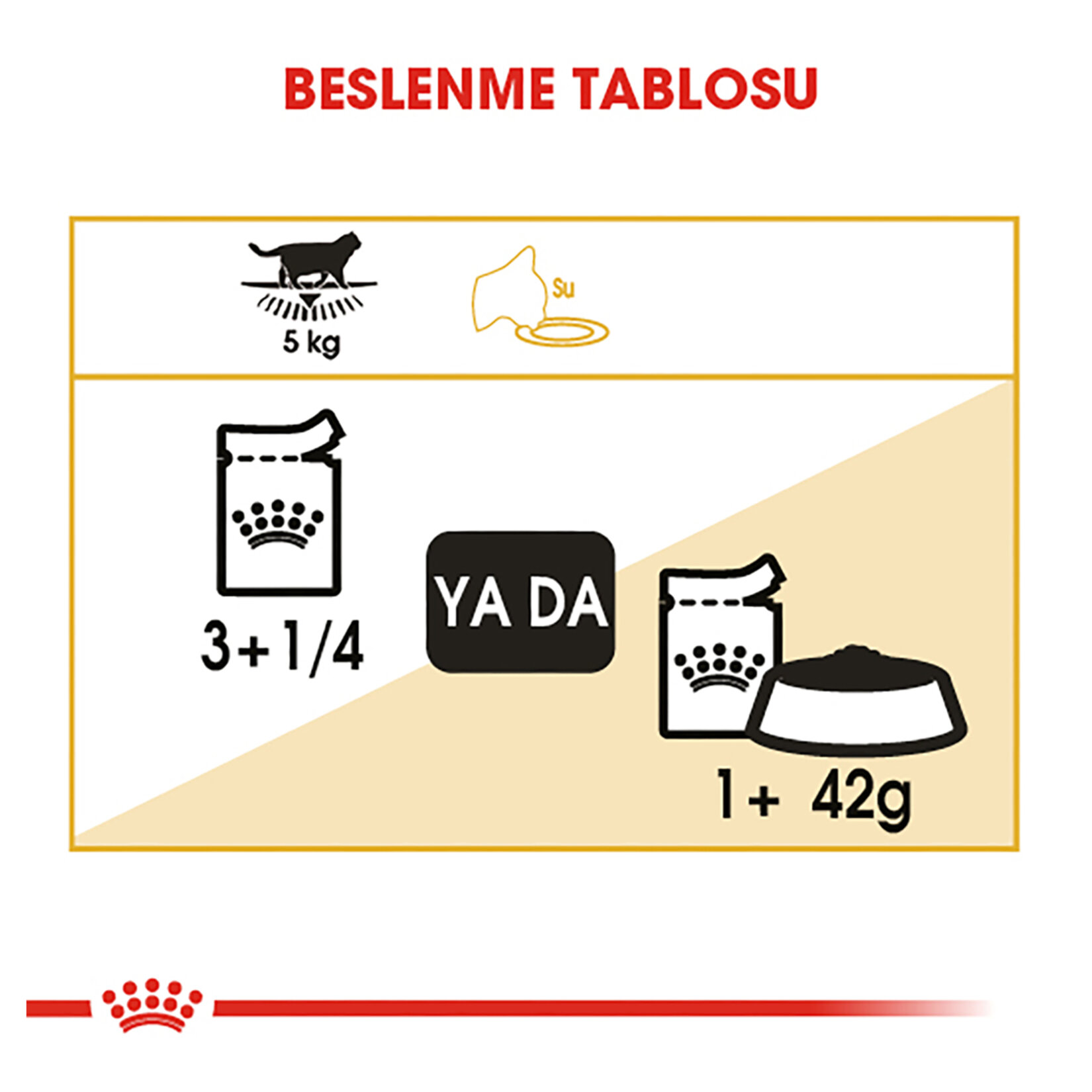 Royal Canin British Shorthair Yaş Kedi Maması 12 x 85 G - Görsel 5