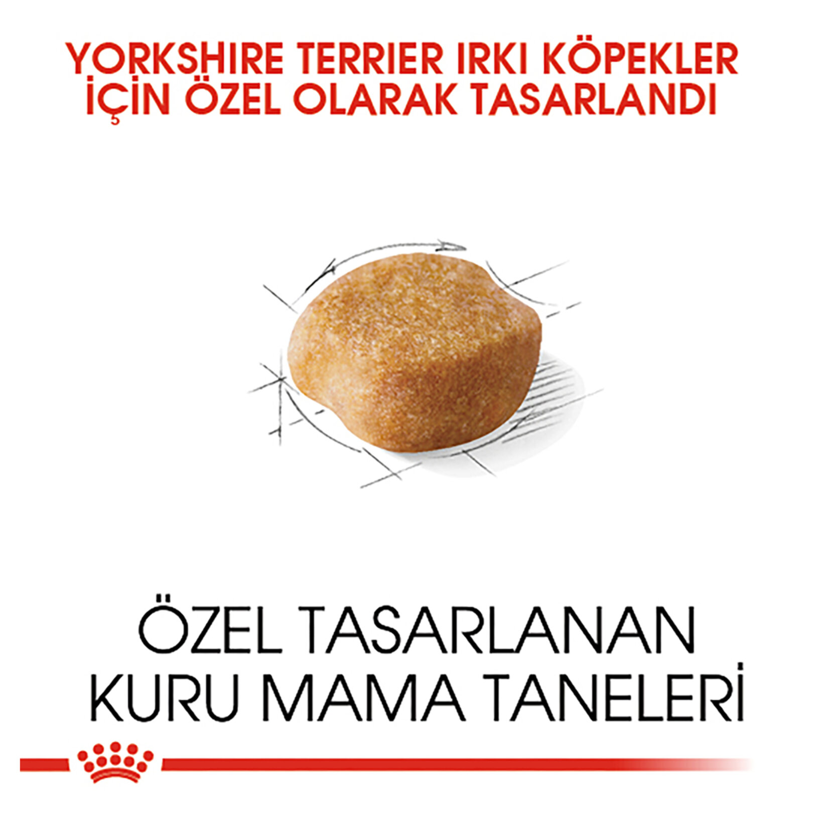 Royal Canin Yorkshire Kuru Köpek Maması 1.5 Kg - Görsel 3