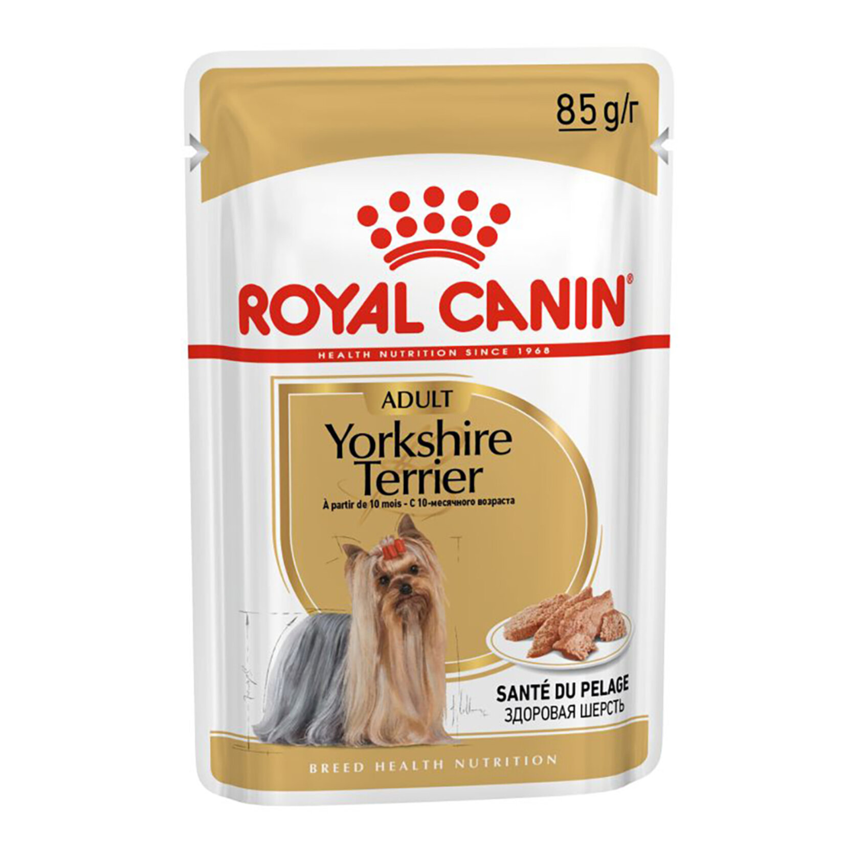 Royal Canin Yorkshire Terrier Yaş Köpek Maması 12 x 85 G - Görsel 1