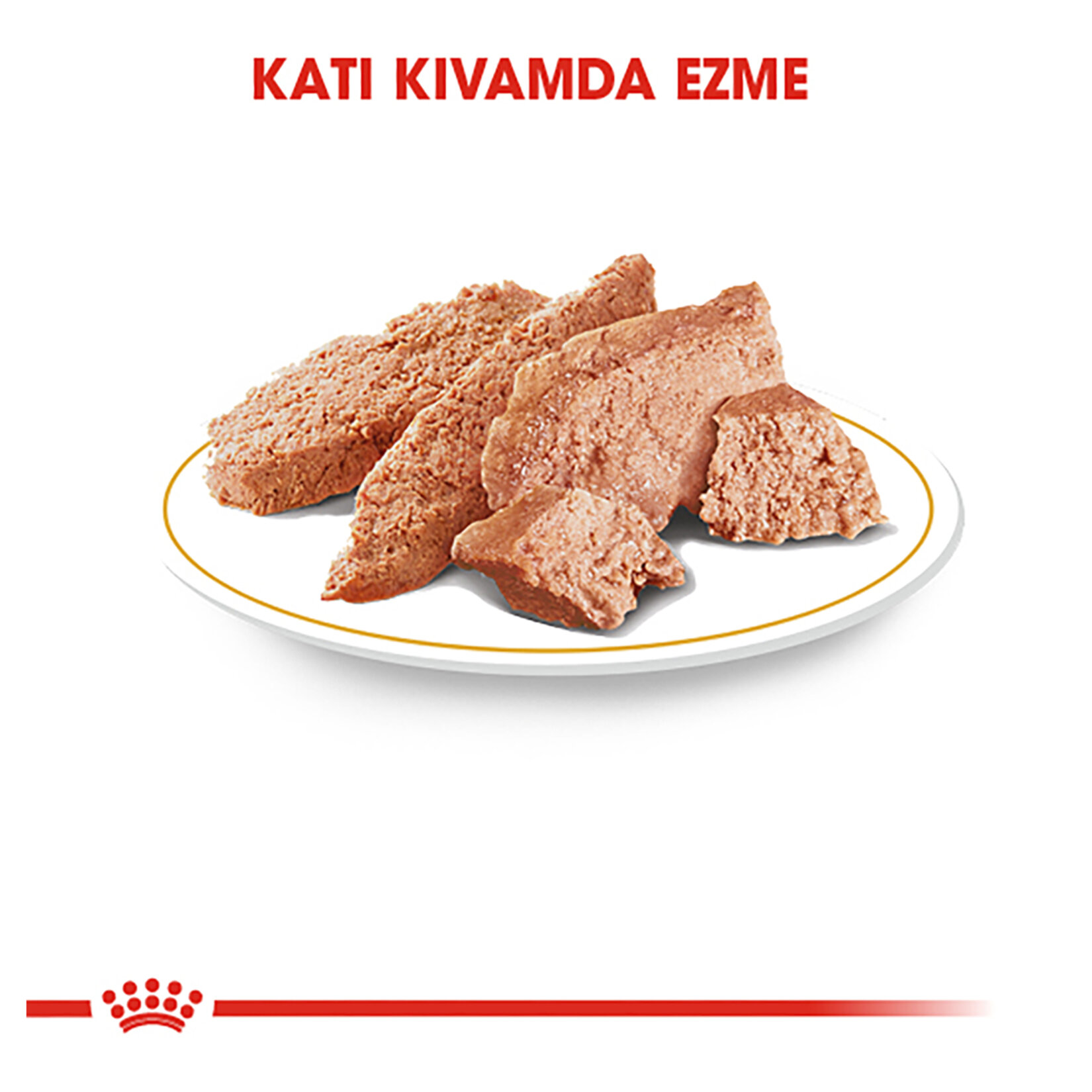 Royal Canin Yorkshire Terrier Yaş Köpek Maması 12 x 85 G - Görsel 3