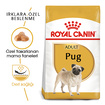 Royal Canin Pug Yetişkin Kuru Köpek Maması 1.5 Kg - Görsel 2