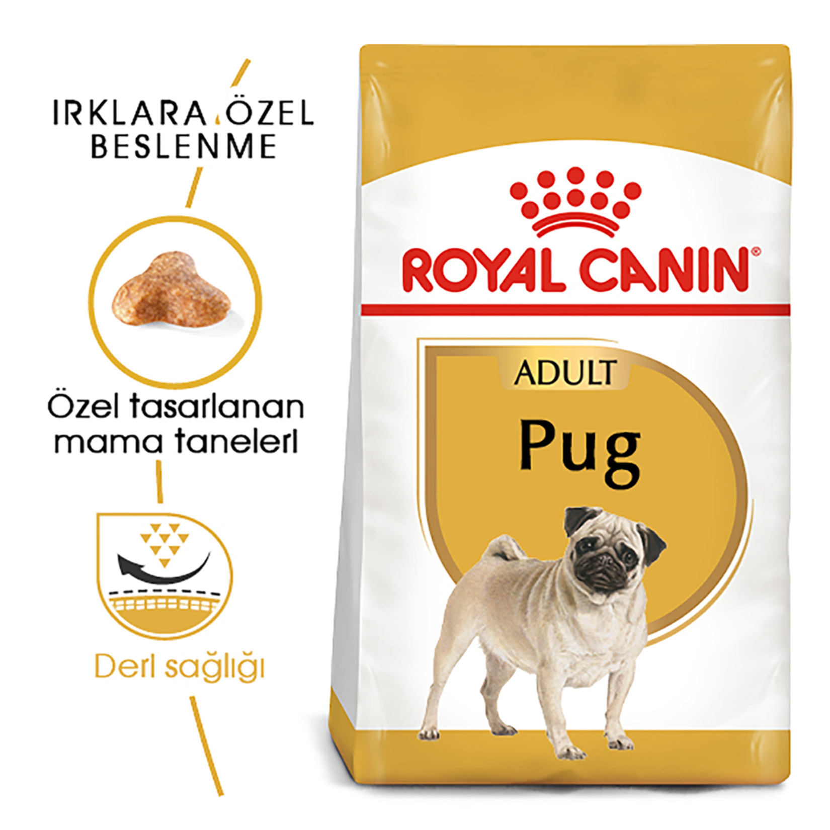 Royal Canin Pug Yetişkin Kuru Köpek Maması 1.5 Kg - Görsel 2
