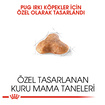 Royal Canin Pug Yetişkin Kuru Köpek Maması 1.5 Kg - Görsel 3