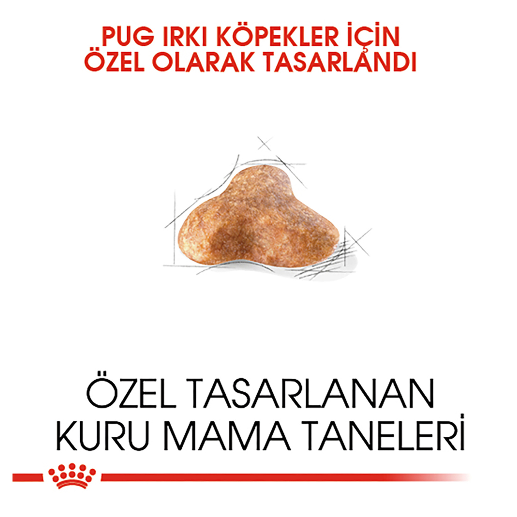 Royal Canin Pug Yetişkin Kuru Köpek Maması 1.5 Kg - Görsel 3