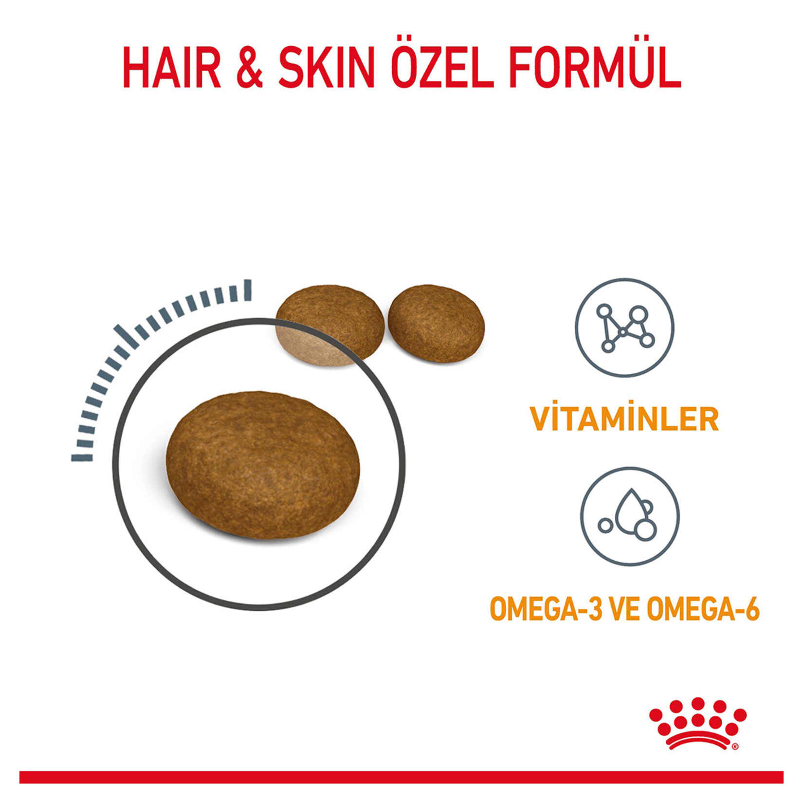 Royal Canin Tüy Ve Deri Sağlığı Kuru Kedi Mama 4 Kg - Görsel 3