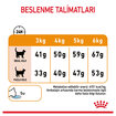 Royal Canin Tüy Ve Deri Sağlığı Kuru Kedi Mama 4 Kg - Görsel 5