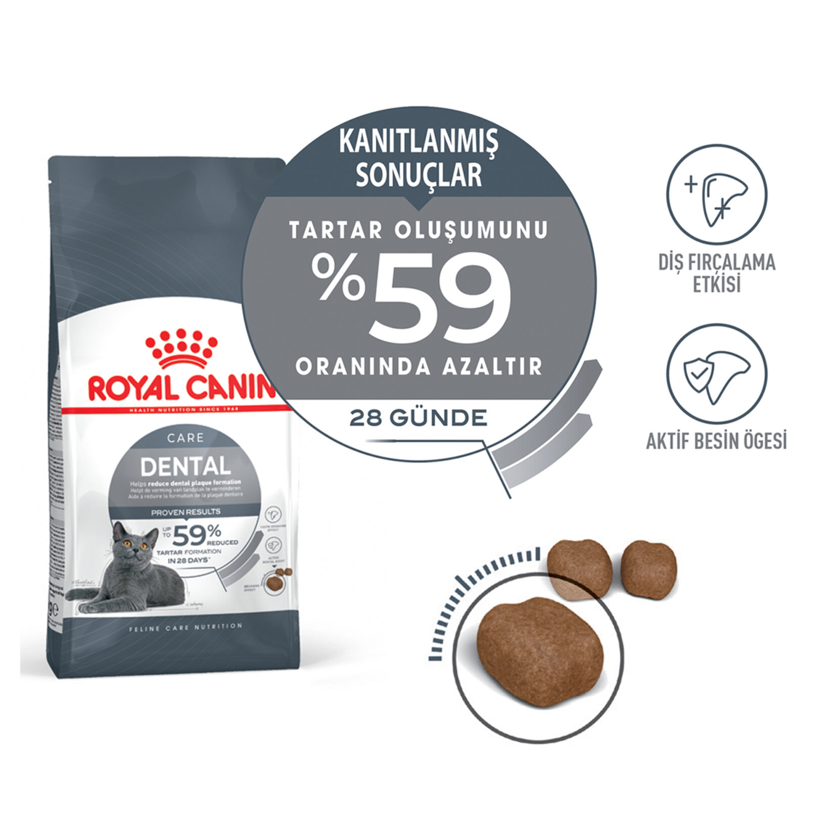 Royal Canin Diş Sağlığı İçin Kuru Mama 1.5 Kg - Görsel 2