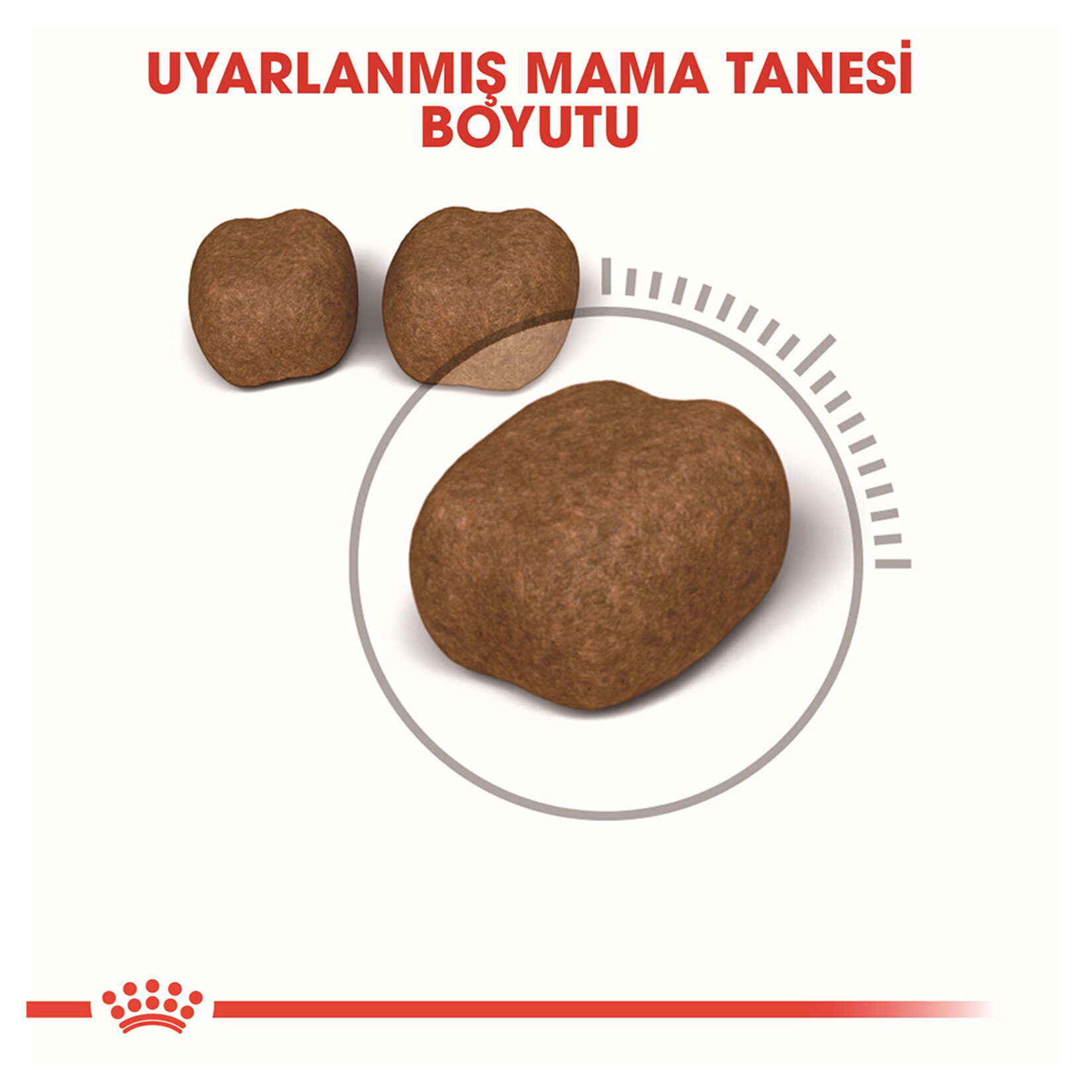 Royal Canin Diş Sağlığı İçin Kuru Mama 1.5 Kg - Görsel 3