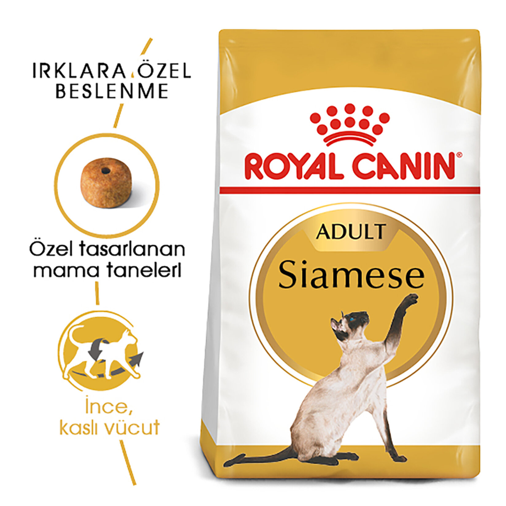 Royal Canin Siyam İçin Yetişkin Kuru Kedi Mama 2 Kg - Görsel 2
