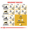 Royal Canin Siyam İçin Yetişkin Kuru Kedi Mama 2 Kg - Görsel 5