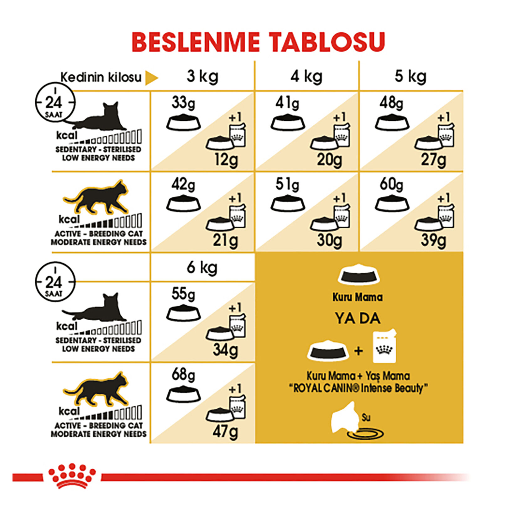 Royal Canin Siyam İçin Yetişkin Kuru Kedi Mama 2 Kg - Görsel 5