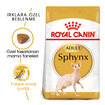 Royal Canin Sfenks Yetişkin Kuru Kedi Maması 2 Kg - Görsel 2