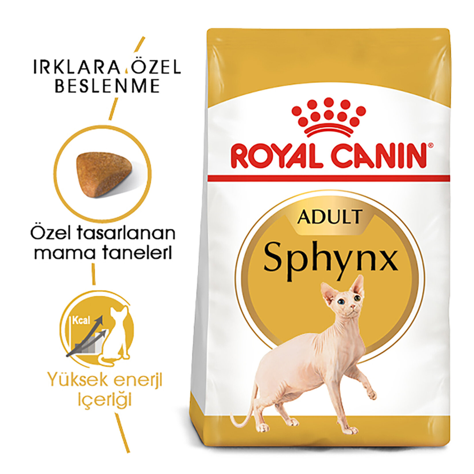 Royal Canin Sfenks Yetişkin Kuru Kedi Maması 2 Kg - Görsel 2