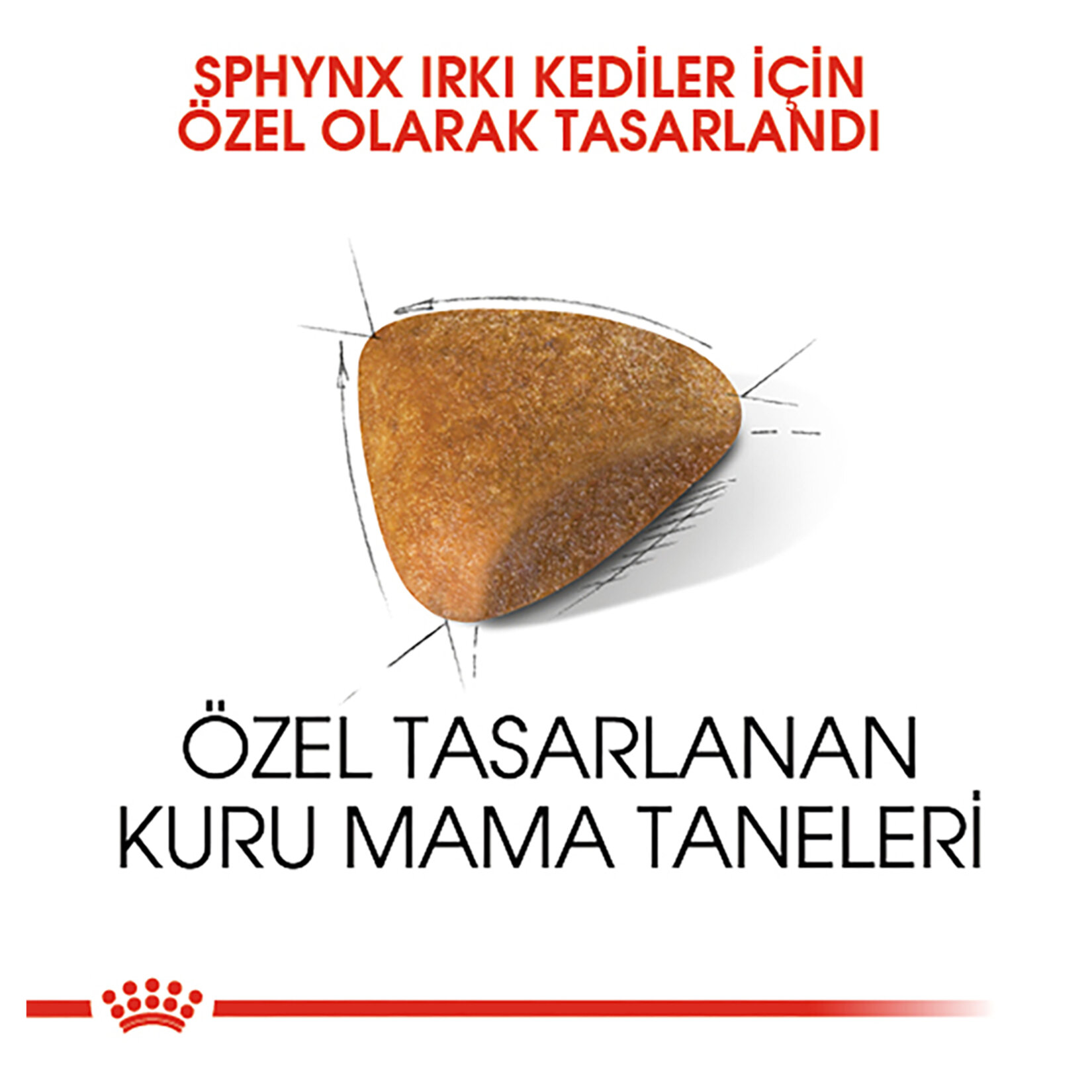 Royal Canin Sfenks Yetişkin Kuru Kedi Maması 2 Kg - Görsel 3