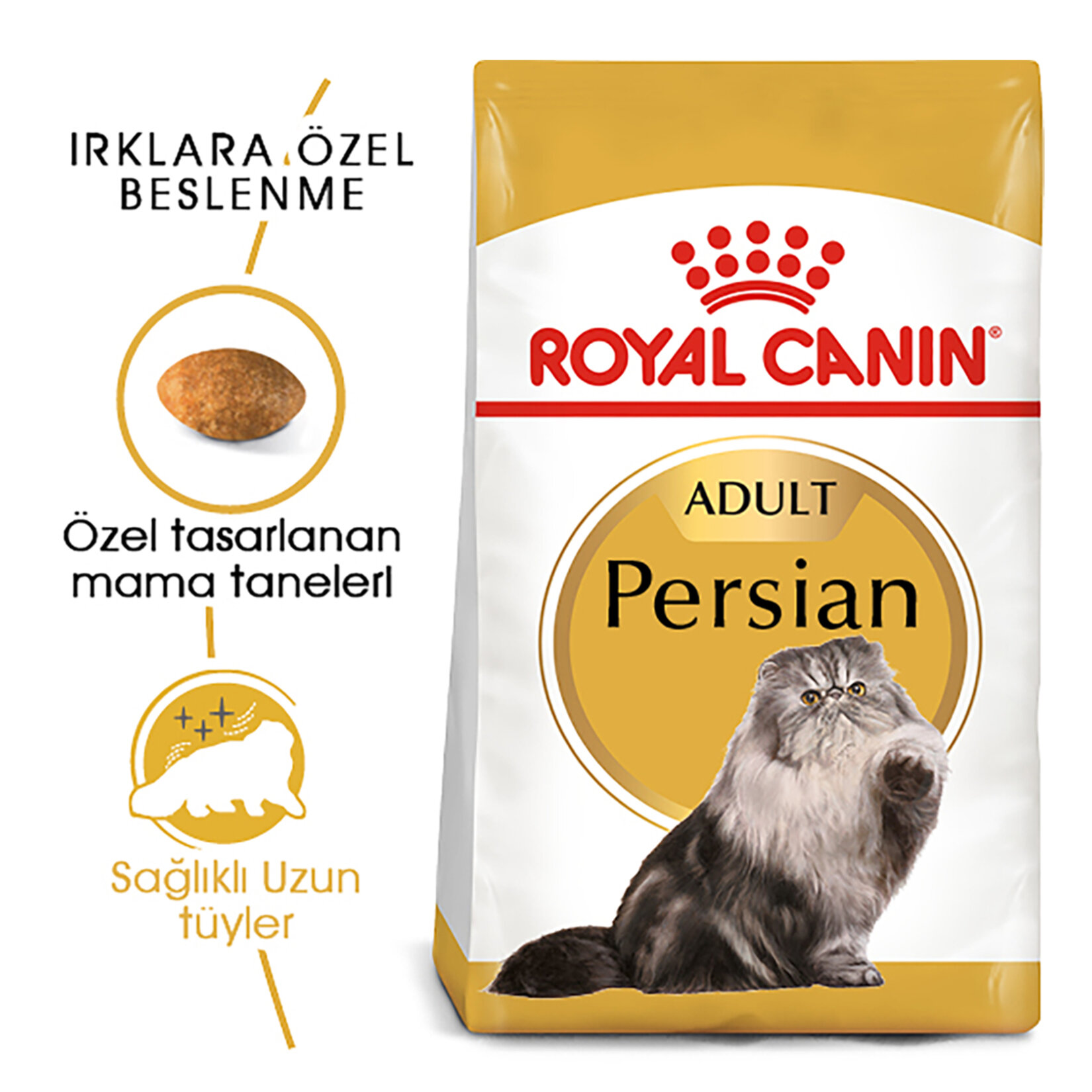 Royal Canin İran Kedisi İçin Yavru Kedi Maması 2 Kg - Görsel 2