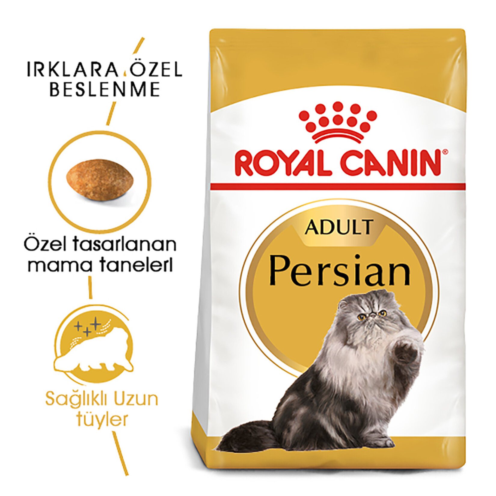 Royal Canin İran Kedisi İçin Kuru Kedi Maması 4 Kg - Görsel 2