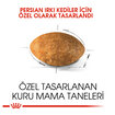 Royal Canin İran Kedisi İçin Kuru Kedi Maması 2 Kg - Görsel 3
