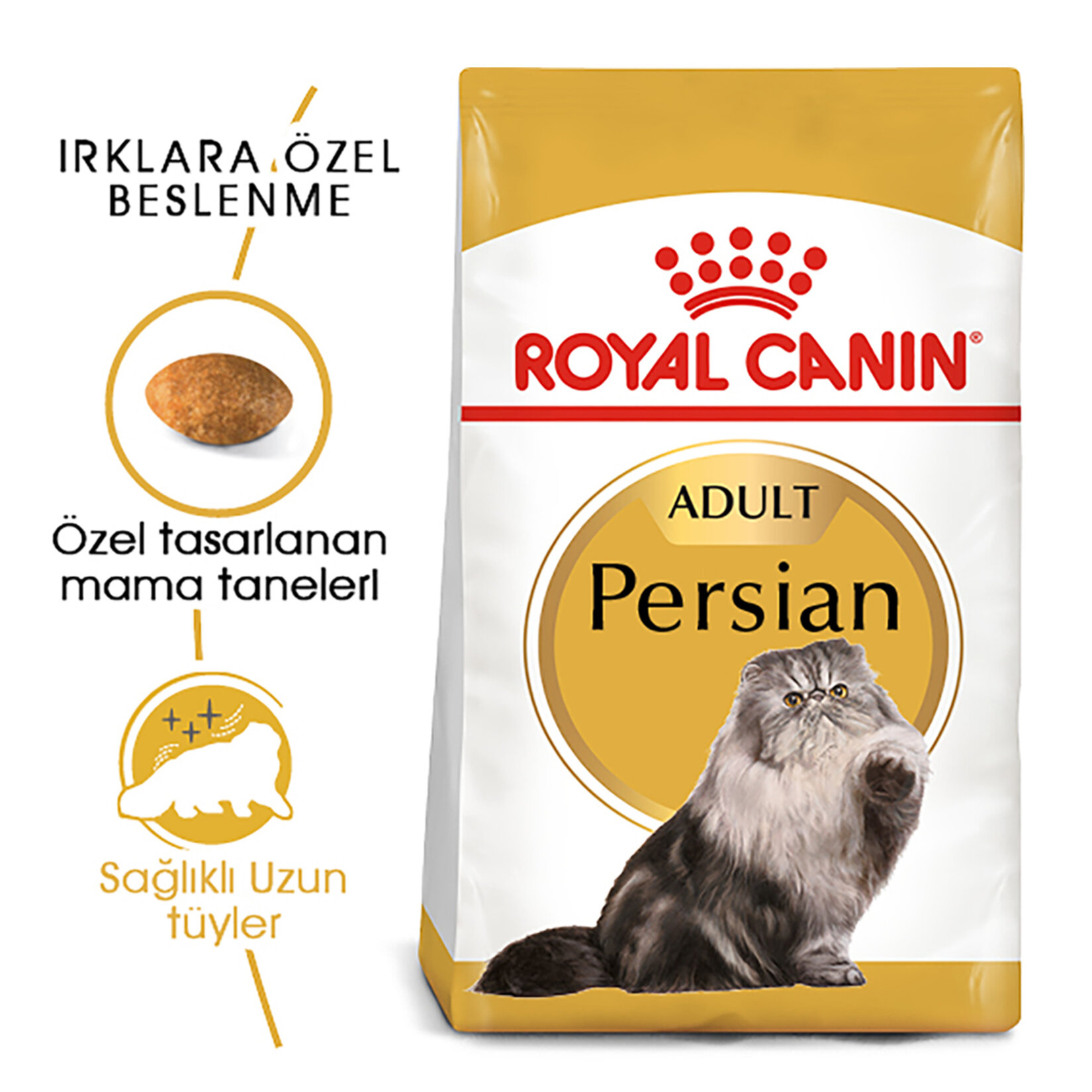 Royal Canin İran Kedisi İçin Kuru Kedi Maması 400 G - Görsel 2