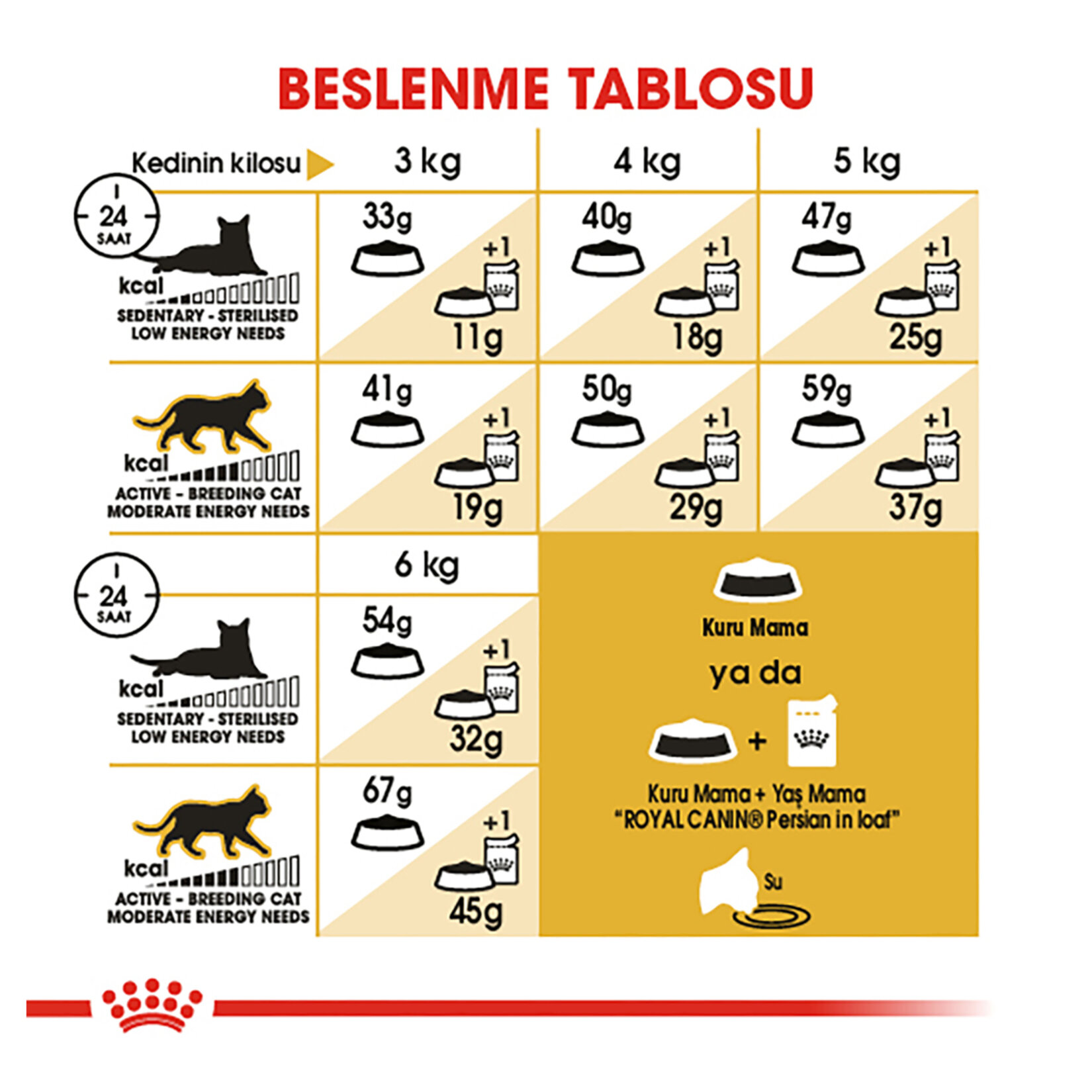 Royal Canin İran Kedisi İçin Kuru Kedi Maması 400 G - Görsel 5