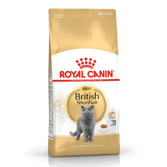 Royal Canin British Shorthair Kuru Kedi Mama 4 Kg