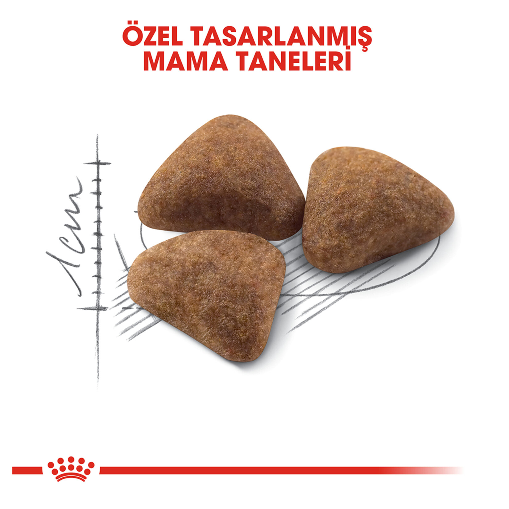 Royal Canin Indoor27 Yetişkin Kuru Kedi Mama 400 G - Görsel 3