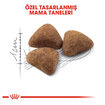 Royal Canin Indoor27 Yetişkin Kuru Kedi Maması 2 Kg - Görsel 3