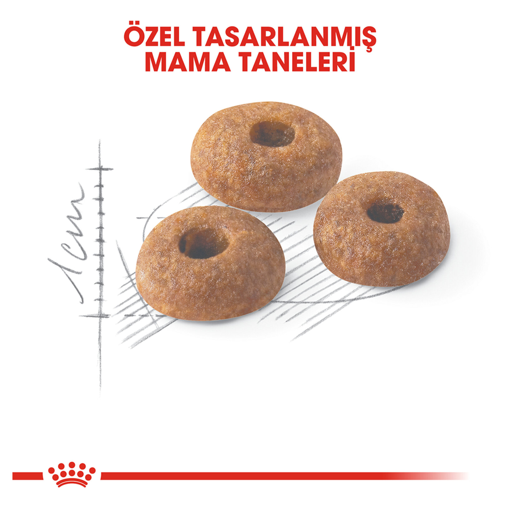 Royal Canin Fit32 Yetişkin Kuru Kedi Maması 15 Kg - Görsel 3