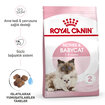 Royal Canin Anne ve Yavru Kedi İçin Kuru Mama 4 Kg - Görsel 2