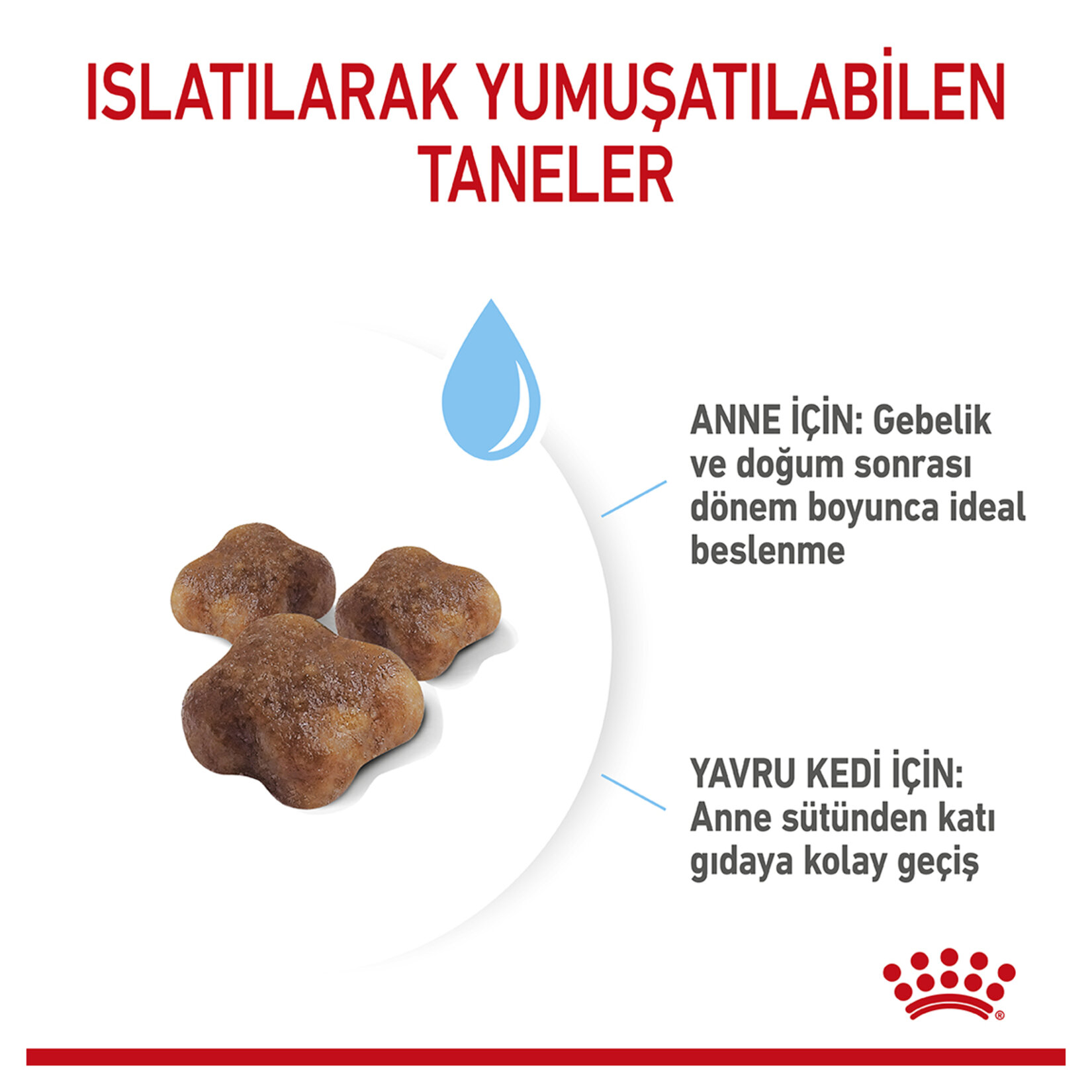 Royal Canin Anne ve Yavru Kedi İçin Kuru Mama 4 Kg - Görsel 3