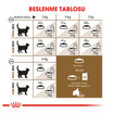 Royal Canin 12+ Kediler İçin Kuru Kedi Maması 2 Kg - Görsel 5