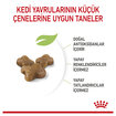 Royal Canin Yavru Kediler İçin Kuru Kedi Mama 4 Kg - Görsel 3