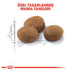 Royal Canin Kısırlaştırılmış 7+ Kedi Mama 1.5 Kg - Görsel 3