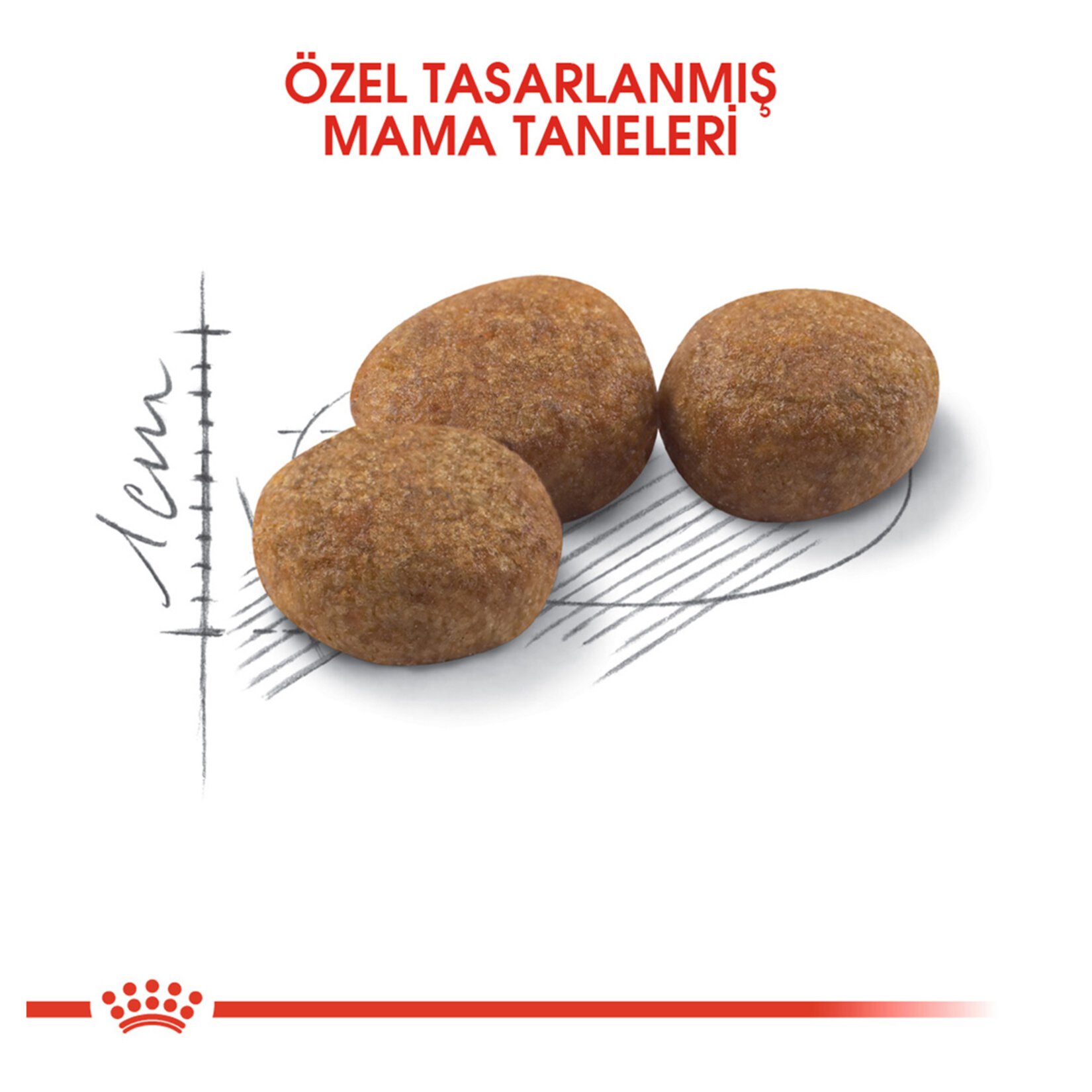 Royal Canin Kısırlaştırılmış Kedi Maması 10 Kg - Görsel 3