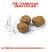 Royal Canin Indoor27 7+ Kuru Kedi Maması 3.5 Kg - Görsel 3