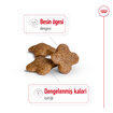 Royal Canin 8+ Küçük Irklar İçin Köpek Maması 2 Kg - Görsel 2